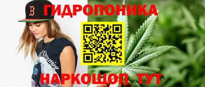 стафф Краснознаменск