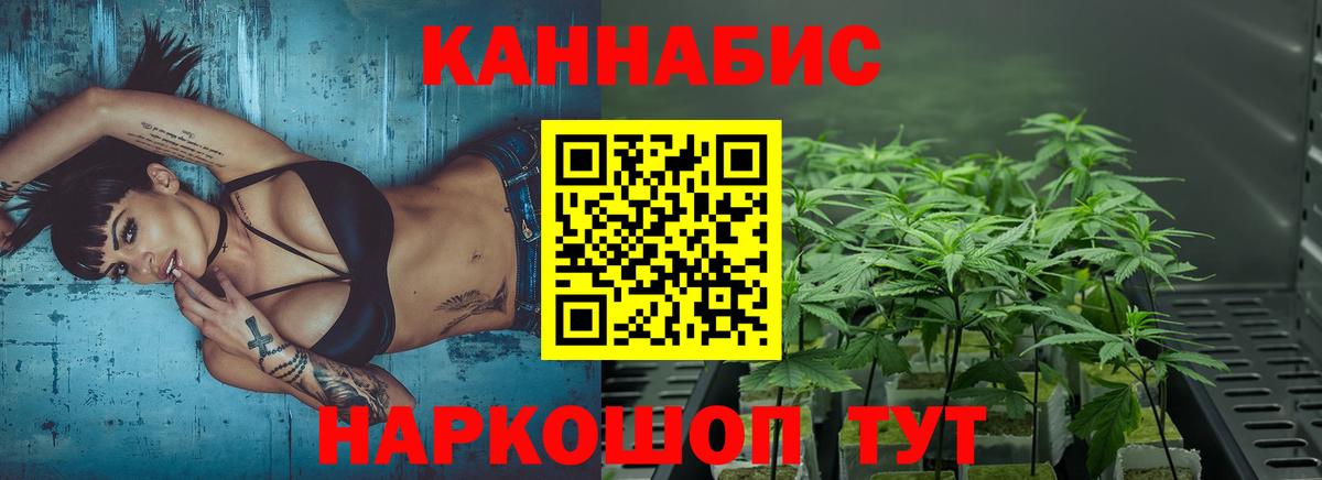 Ишим  Шишки марихуана гибрид  Вход с VPN  Бошки марихуана Amnesia  Бошки Шишки AK-47 